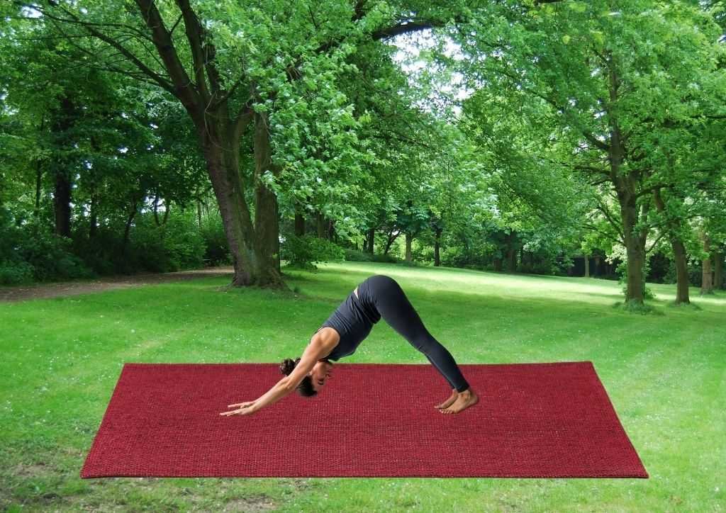 Adho Mukha Svanasana